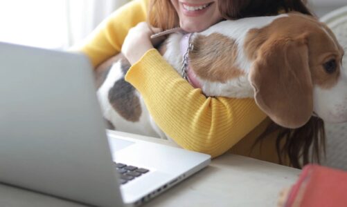 Working from Home with Your Pet: Balancing Productivity & Playtime