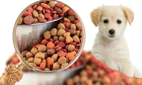 All About Buying Dog Food And Other Products