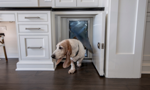 What Are My Options for Pet Doors?