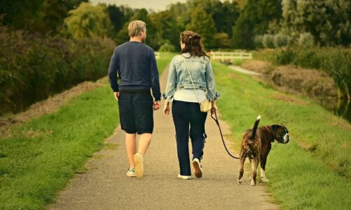 How Pets Improve Our Mental Health