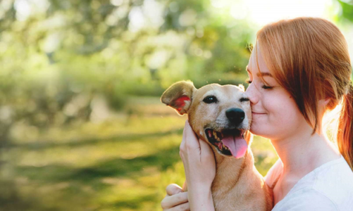 Reasons to choose an affordable pet insurance policy