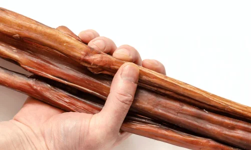 Why Are Bully Sticks Often Recommended as a Rawhide Alternative?