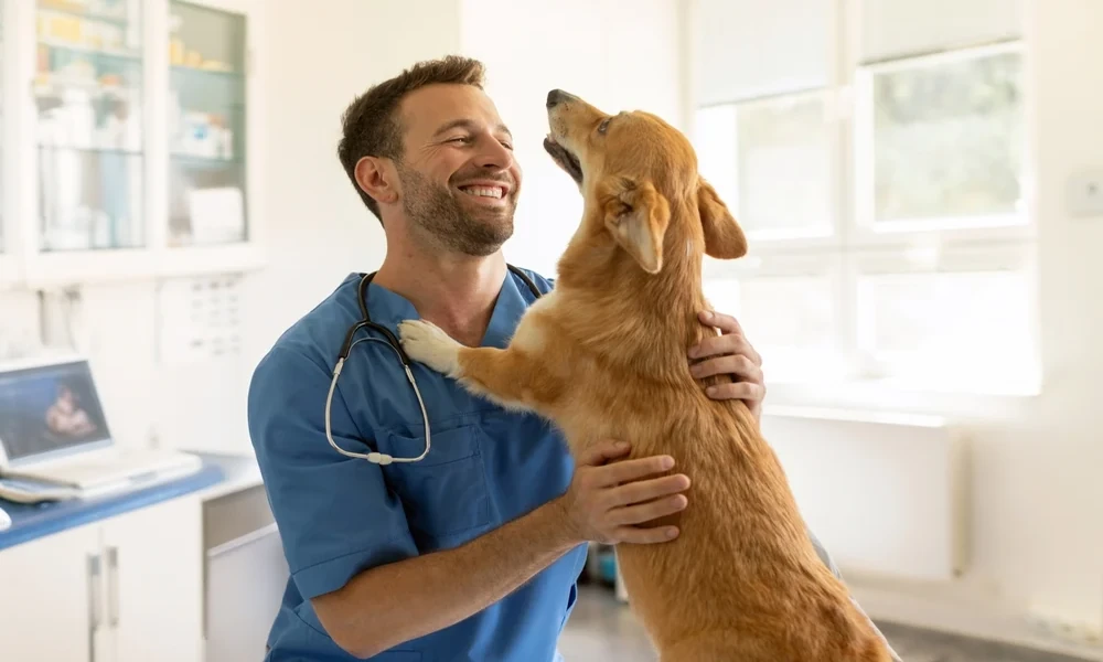 Why Veterinary Hospitals Are Vital For Exotic Animal Care